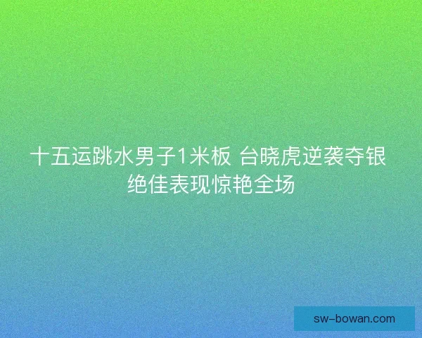 十五运跳水男子1米板 台晓虎逆袭夺银 绝佳表现惊艳全场